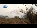 Eco-journal : Wild fires