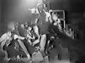 Mucky Pup - "Attack of the Killer Bushpigs - LIVE" (1989)