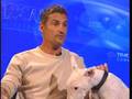 Cliff Simon Rescues Bullies