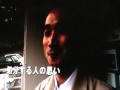 大阪市動物管理センター 木登り猫を保護。 「殺処分はしません」