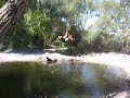 Rope Swing