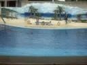 Aquarium