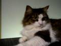 102_2192.MOV