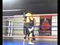 UFC chihuahua ricardo 