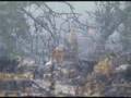 Jerusalem: neve ثَلْج שלג snow