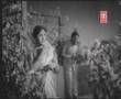 Kannada song - Elliharo Nalla - PBS & S.Janaki - KanyaRatna