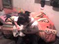 Vertebras & Super Riff