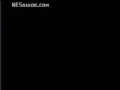 www.nesguide.com
