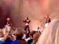 The Ark on Liseberg