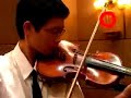 Talented Young Violinist