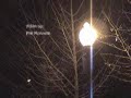 The-Night-the-Ghost-