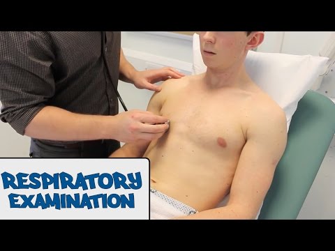 how to assess respiratory rate