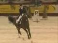 Dressage - Lord of the Dance