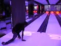 Click here to watch this video bowling rame2