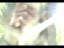 Bohol Part 1 Bohol Part 1