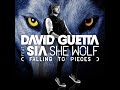 David Guetta Feat Sia – She Wolf  Sandro Silva Remix