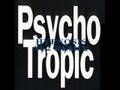 Pyschotropic - Hypnosis (SL2 Remix)