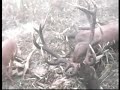 Kapitaler Hirsch im Nebel / deer in the fog