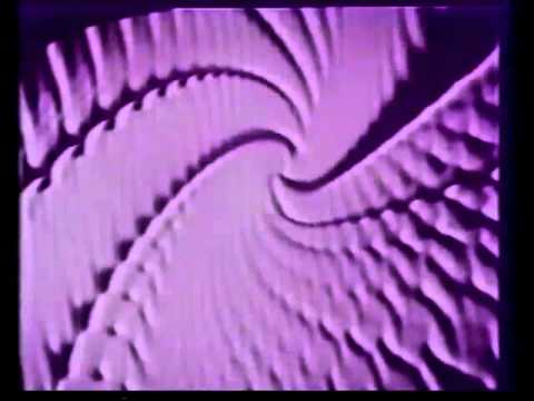 Art - Sunflower Geranium (Don Slepian, 1985)
