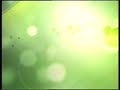 ID de TELEFE LS 84 TV Canal 11 Buenos Aires - 2008 [1]
