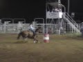 SS Me Fly Too - \"Lahra\" Stigler, OK rodeo SS Me Fly Too - \"Lahra\" Stigler, OK rodeo
