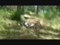 CRUSTY CRASHES AT GREENVALLEYS FREERIDE PARK