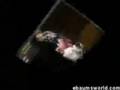 Amazing Acrobatics