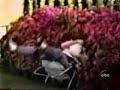 Ostias, golpes, caidas y demas chorradas 2