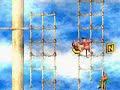 Donkey Kong Country Walkthrough part 2