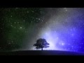 Hazem Beltagui - August