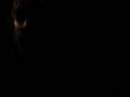 videos de me and my dogs