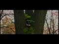 videos de TOAMNA(AUTUMN) probe 16:9