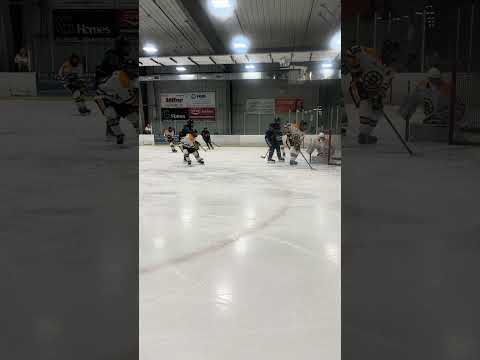 U15 Winnipeg Bruins Gold