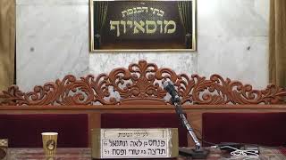 מוסאיוף שידור חי – יום שלישי ד’ תשרי ה’תשפ”א
