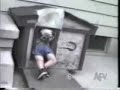 動物占い
