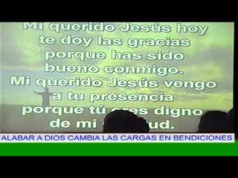 VISTE MI VIDA PERDIDA