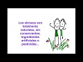 Abrazos
