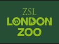 http://www.zsl.org conchita in her creche