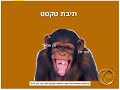 קורס ללימוד עצמי של Powerpoint , תוספות