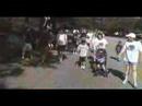 team olie walk team olie walk
