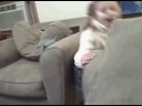Oct 12 2007 - VID00001