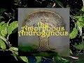 the AMORPHOUS ANDROGYNOUS-the Peppermint Tree ALBUM