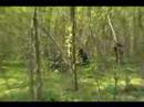 airsoft battle Verpelét Rookie I. Halálzóna