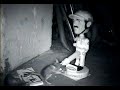 MOUSE PLEASURES BOBBLE-HEAD