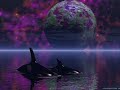 JW - Star Trek & Star Wars JW - Star Trek & Star Wars