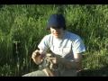 Herping With Dylan: Speckled Kingsnake Herping With Dylan: Speckled Kingsnake