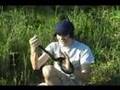 Herping With Dylan: Speckled Kingsnake