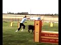 Ares agility!!!! Ares agility!!!!