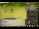 runescape noobs get a job!!!