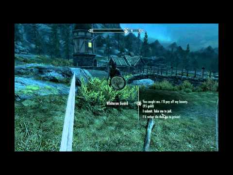 how to remove bounty in skyrim